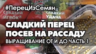 🌶🌱Выращивание сладких перцев в открытом грунте. | Часть 1 Посев перцев на рассаду без пикировки.