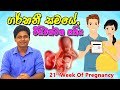 Pregnancy 21st Week | Sinhala Medical Review | අම්මයි බබයි