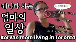 [ENG]Toronto Vlog - the first day of school 토론토에서 국제결혼, 마리공쥬의 평범한 일상 이야기