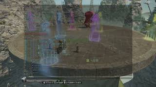 【FFXIV】極ルビカンテ討滅戦【モンク近接D2視角】