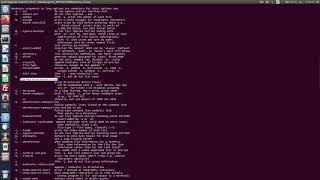 Command line "flags"