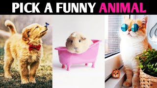 WHAT FUNNY ANIMAL ARE YOU? Magic Quiz - Pick One Personality Test