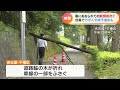 【台風7号】 風にあおられて転倒するなど8人がけが　車の水没や倒木も相次ぐ　東海3県の最新被害状況　（午後5時現在）