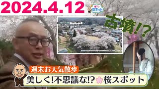 【斎藤さんの週末お天気散歩　美しく！不思議な!?桜スポットへ】福テレ空ネット（2024年4月12日放送）