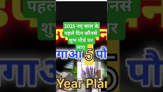 धन वर्षा करने वाले 5 शुभ पौधे/ Lucky Plants/Vastu Plants