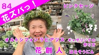 ピンクセージ（オルトシフォンラビアツス）ギャザリングの作り方【花ズバっ】84旬の花とその使いかた紹介/花創人ガーデニング教室