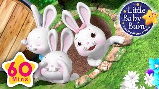 Learn with Little Baby Bum | Bunny Hop Hop | Nursery Rhymes for Babies | Songs for Kids