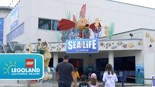 SEA LIFE® Aquarium reopens at LEGOLAND California Resort