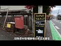 2024.11.18 弥彦公園もみじ谷 紅葉見頃 新潟県 弥彦 紅葉 japan niigata autumn shorts