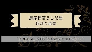 農家民宿うしだ屋の「稲刈り風景」