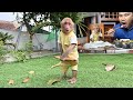 Bibi helps Dad clean up the leaves in the yard and enjoys a meal with him