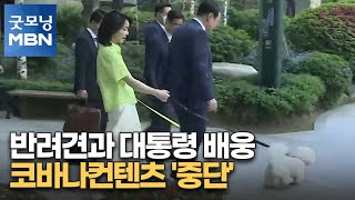 김건희 여사, 반려견과 대통령 배웅…코바나컨텐츠 '중단' [굿모닝 MBN]