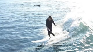 サーフィン ドローン 空撮 湘南 鎌倉 七里ヶ浜 2021年11月26日