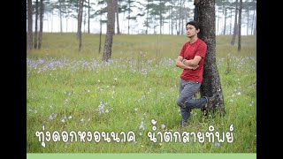 ลานสนภูสอยดาว ชมดอกหงอนนาค น้ำตกสายทิพย์ วันที่ 3 กันยายน 2565 ทริปภูสอยดาว EP2 (DAY2)