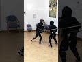 opponent totally ignores feint and strikes direct and true hema longsword martialart