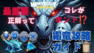 【霜竜の覇者】コレが正解ってホント⁉️準備万端！霜竜攻略ガイド【ホワイトアウトサバイバル】