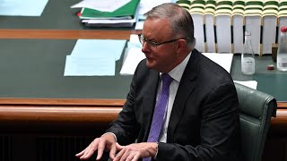 Albanese is ‘pretending to be someone he’s not’