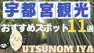 【Utsunomiya Sightseeing] 11 Popular Spots: Recommended Spots You Should Know Before Going on a Trip