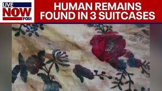 Suitcases with human remains wash up on Florida shore | LiveNOW from FOX