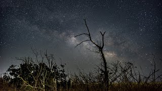 星空タイムラプス 4K　～九十九里浜に昇る天の川～ 　蓮沼海浜公園 2021年3月 /Japan Time lapse 4K