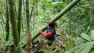 Full video: single girl builds bamboo house..