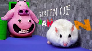 Hamster Defeats CHEF PIGSTER In Garten Of Banban 3 | New Hamster Challenges
