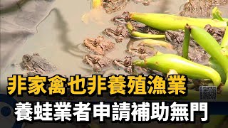 非家禽也非養殖漁業　養蛙業者申請補助無門－民視新聞