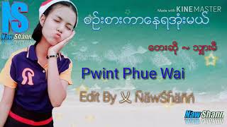 စဥ္​းစားကာ​ေနရအံုးမယ္​~(Pwint phue wai