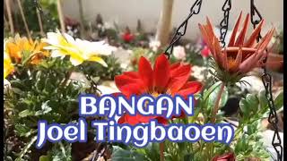 BANGAN Joel Tingbaoen #igorotsongs #old  #kankanaeysongs #igorot #2022 #philippines #2022status