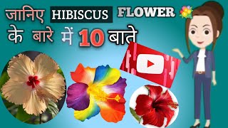 जानिए गुड़हल के फूल के बारे मे 10 बाते//Know about hibiscus flower 💐 10 things