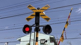 東武10030系電車 踏切通過 東上線 第114号 japan train