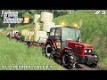 Baling and transporting hay | Small Farm - Slovenian Valley | Farming Simulator 2019 | Episode 4