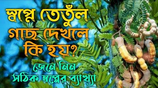 স্বপ্নে তেঁতুল গাছ দেখলে কি হয় | shopne tetul gach dekhle ki hoy | shopner bekkha tabir folafol,zbe