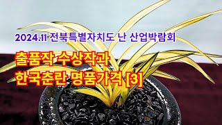 전북 난산업박람회 출품작과 수상작 한국춘란 판매가격[3]