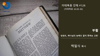 [시애틀예수안교회] 마태복음 강해 #128 (마태복음 22:23-33) | '부활' (부제: 성경도, 하나님의 능력도 알지 못하는 고로) | 백필식 목사 | 2019년 6월 2일