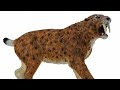 Collecta Smilodon - Spotted Hide Shows Every Individual Hair #shorts #smilodon #dinosaurs