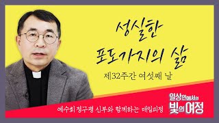 성실한 포도가지의 삶 [일상 안에서의 빛의 여정] 제32주간 여섯째날 | 예수회 정구평 신부 | 로욜라의 이냐시오 성인