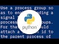 How to terminate a python subprocess launched with shell=True