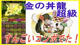 【パズドラ】金の丼龍　超級