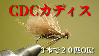 CDC Caddis where you can catch 20 trout with 3 hooks