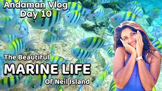 Andaman | Neil Island | Bharatpur Beach | Laxmanpur Beach | Day 10 | Vlog