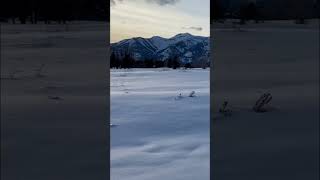 Snow covered golf course Jackson, WY ❄️☃️#jacksonhole #wyoming #snow #grandtetonnationalpark #shorts