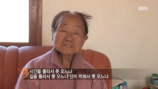 [HIT] 다큐멘터리 3일 - 햇살 한 줌, 바람 한 점을 머금고 감과 함께 살아가는 가을이야기.20151115