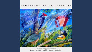 Protegido de la libertad