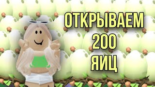 ОТКРЫВАЕМ 200 ЛЕСНЫХ ЯИЦ В АДОПТ МИ 😱