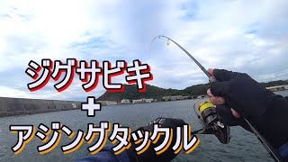 【美味魚】アジングロッドでジグサビキは楽しいけど超絶めんどくさかった