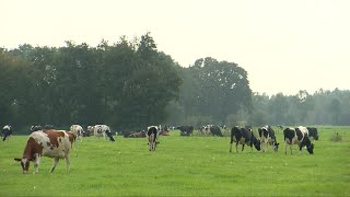 Noodkreet van een kringloopboer