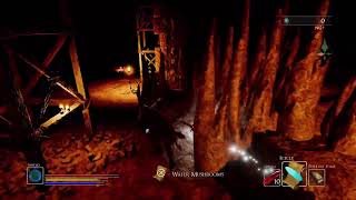 Codex lost ps5 pro newgame plus