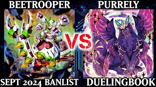 Beetrooper vs Purrely | Dueling Book