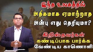 இந்த உலகத்தில் அதிகமாக ஏமாற்றாத அன்பு எது தெரியுமா?